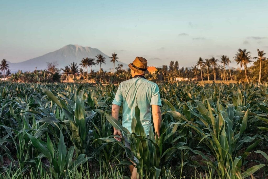 Man in a hat standing in a cornfield with a mountain in the distance at dusk, embodying the perfect weekend in Asia.